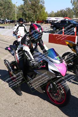 media/Aug-03-2024-TrackDaz (Sat) [[30bed884ff]]/C Group/Grid/